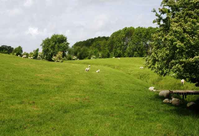 wierde van helwerd - kruijssen